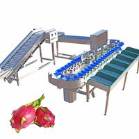 Avocado Dragon Fruit Sinaasappel Tomaat Kers Groente Fruit Sorteerder PLC-gestuurde Kleding Textiel Graanverwerkingsbedrijven