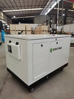 Générateur portable refroidi par air à gaz naturel 10-30 kW, GPL, propane, avec démarrage automatique et à distance, et ATS