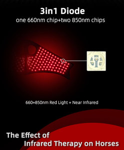 Coperta Terapeutica a Luce Rossa per Cavalli, 660nm 850nm, Terapia Infrarossi per Equini, Utilizzabile per Testa e Fronte - Product Image 3