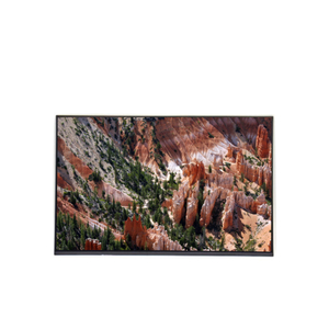 M200RTN02.0 ขายดี หน้าจอ LCD TFT ขนาด 20.0 นิ้ว ความละเอียด 1600*900 - Product Image 1