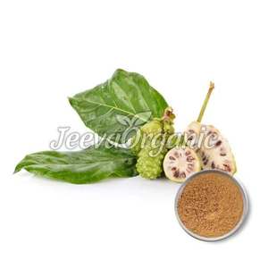 Polvo de Baheda de grado alimenticio de etiqueta privada OEM de alta calidad, extracto de raíz de Terminalia Bellirica tamizado triple a base de hierbas en embalaje de latas - Product Image 4