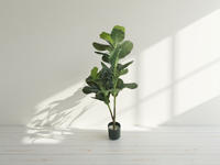 Arbre artificiel en feuilles de ficus lyrate / Faux ficus lyrate Plantes artificielles pour la décoration de la maison et du bureau