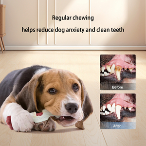 C4P di alta qualità in nylon <span class=keywords><strong>cane</strong></span> giocattolo duro giocattoli per masticatori aggressivi di grande razza cani da masticare osso giocattolo in Nylon cani indistruttibili - Product Image 3