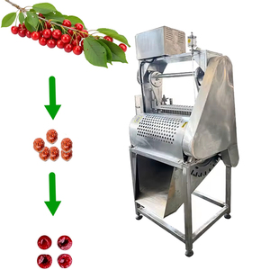 Machine Commerciale <span class=keywords><strong>de</strong></span> Dénoyautage et <span class=keywords><strong>de</strong></span> Séparation <span class=keywords><strong>de</strong></span> Fruits, Presse à Dénoyauter les <span class=keywords><strong>Cerises</strong></span>, Moteur 1.5kW, Capacité 250-500kg/h, Usine - Product Image 1