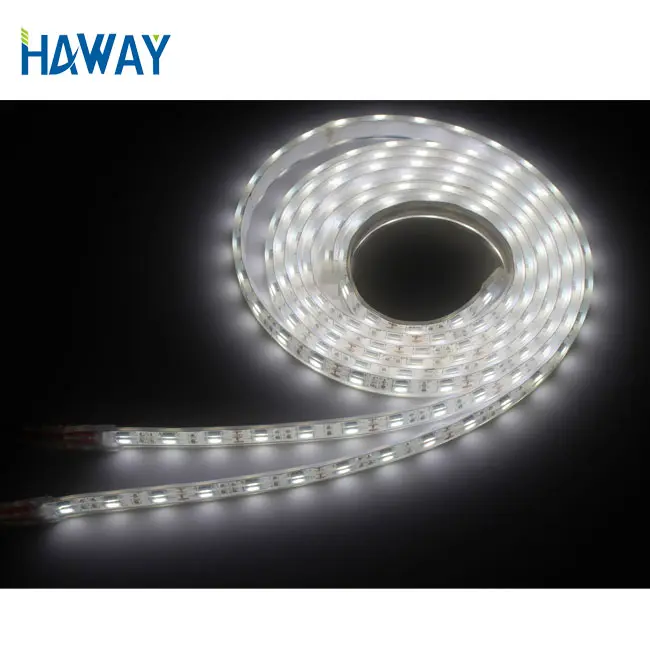 2020 Ngoài Trời IP68 5050 100lm/W 12V 24V 12W 10 Wát/mét Led Strip Ánh Sáng 4000K Chống Thấm Nước Led Strip Boat Lights