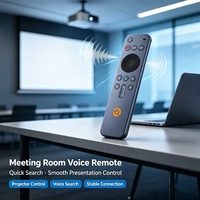 Télécommande vocale 16 touches pour Smart TV LCD et Android TV Box – Usine source OEM/ODM, personnalisation du logo et du clavier