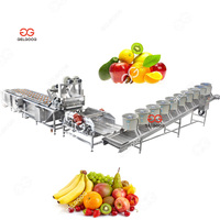Automatische Transportband Voeding Continue Borstel Luchtbel Reiniging Sorteren Fruit En Groenten Wassen En Drogen Machine