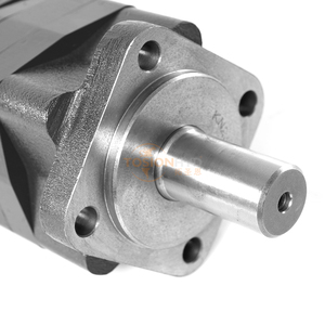 Moteur hydraulique Tosion OMS BMS BM5Y 200 fabriqué en Chine - Product Image 2