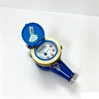 Durable Brass Casing Water Meter with High Accuracy Measurement