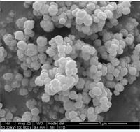 Nano titanato de bario BaTiO3 100nm 99.9% polvo de nano titanato de bario