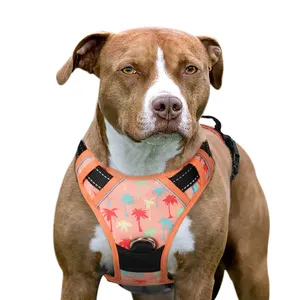 new designed no pull custom neoprene Dog harness