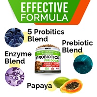 Suppléments nutritionnels probiotiques pour chiens OEM pour soulager les allergies, la diarrhée, les flatulences, la constipation et améliorer l'immunité du chien