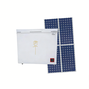 Congelador Solar de Una Puerta de 208L de Bajo Consumo Energético, Gran Venta en Jordania, para Uso en Tiendas y en el Hogar - Product Image 1