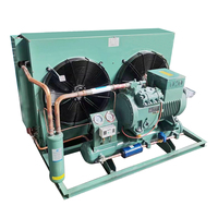 Almacenamiento de habitaciones antiguas Refrigeración industrial Mini 2hp Compresor de desplazamiento Unidades de condensación Walk In Freezer