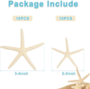 20 Piezas de Estrellas de Mar Naturales de 2-4 Pulgadas para Decoración de Bodas con Temática de Playa, Manualidades, Adornos para Árboles de Navidad - Product Image 2