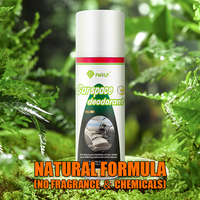Vente en gros de désodorisant pour voiture pour l'élimination des odeurs intérieures de véhicule produit d'entretien automobile en spray