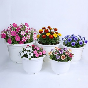 Pot de pépinière rond en plastique PP, fabrication directe d'usine, avec rebord renforcé, résistant aux UV, conteneur de culture de fleurs moulé par injection - Product Image 1