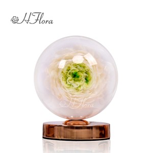 Hflora A Grade peonie Flower Lamp vendita calda Eternity <span class=keywords><strong>Flowers</strong></span> idee per scatole regalo per la festa della mamma personalizza altre piante di fiori decorativi - Product Image 3