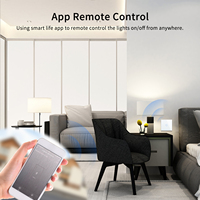 Bingoelec Interrupteur intelligent pour rideaux, variateur de lumière, tactile, Zigbee WiFi, télécommande murale, compatible Tuya