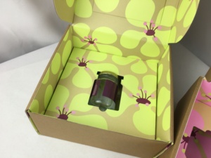 Frasco de suplemento vitamínico para pílulas, barra de proteína natural para saúde com logotipo personalizado, caixa postal para envio, embalagem com inserção - Product Image 3