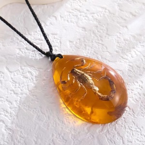 Collar <span class=keywords><strong>con</strong></span> Colgante de Escorpión Real en Resina para Hombre, Amuleto de Insecto en Forma de Lágrima, Cordón Trenzado, Joyería Gótica - Product Image 1