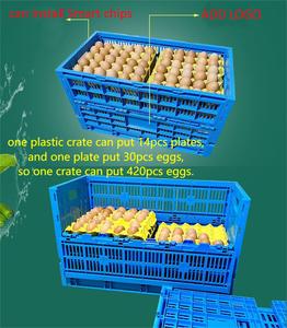 Farm Poultry Foldable PP <strong>Plastic</strong> <strong>Egg</strong> <strong>Crate</strong> Meshy Box Design with Folding Sheets for Chicken House Collapsible Transport Storage - Product Image 2