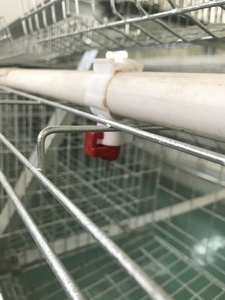 Q235 alambre de acero <span class=keywords><strong>corral</strong></span> batería capa jaula - Product Image 6