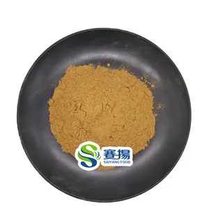 Poudre d'extrait de Schisandra Top qualité 2% 5% 9% Schisandrin A Wu Wei Zi extrait poudre d'extrait de Schisandra