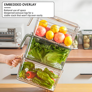 Boîte de rangement en plastique pour réfrigérateur, bac de conservation alimentaire frais pour cuisine, conteneur de rangement pour réfrigérateur avec couvercle et poignée, vente chaude - Product Image 3
