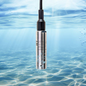 RKL-01酸RS485 4-20ma容量性地下没入型ゲージ検出器プローブ水中水液体レベルセンサータンク用 - Product Image 2