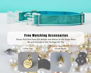 Ensemble collier et laisse personnalisés en cuir suédé pour animaux de compagnie, collier pour chat Aqua personnalisé avec étiquette nominative en métal gravée et clochette offerte - Product Image 4