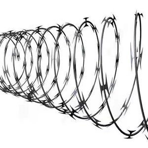Alambre <span class=keywords><strong>de</strong></span> púas <span class=keywords><strong>de</strong></span> <span class=keywords><strong>acero</strong></span> inoxidable <span class=keywords><strong>galvanizado</strong></span> tipo <span class=keywords><strong>Concertina</strong></span> BTO-22 <span class=keywords><strong>de</strong></span> 2.2 mm, certificado ISO9001, <span class=keywords><strong>de</strong></span> bajo precio y gran venta - Product Image 6