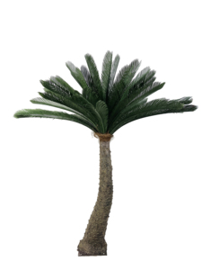 Petit tronc en fibre de verre vivant fait à la main artificiel Sago Cycas Bonsai écologique intérieur/extérieur maison noël mariage PE - Product Image 5