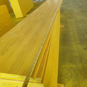 Panneau de contreplaqué pour coffrage économique - Product Image 6