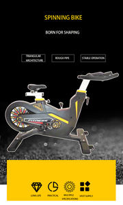 Fábrica de buena calidad Bodybuild Workout Commercial Cardio Dynamic Training Fitness Home Gym Home Equipment Bicicleta estática - Product Image 2