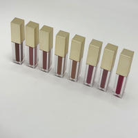 Rouge à lèvres mat Brillant à lèvres Marque privée Vente en gros Logo personnalisé Longue durée Étanche Nude Liquide Rouge à lèvres Herbal Mineral