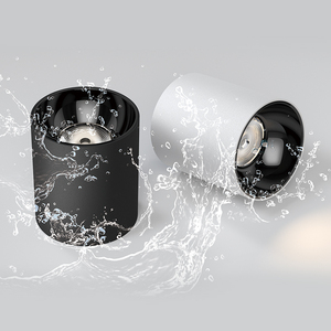 Wiscoon Vente en gros Blanc <span class=keywords><strong>Noir</strong></span> Étanche IP54 DALI Dimmable Spot Down Light COB Monté en surface LED Downlight - Product Image 5