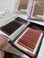 Fournitures en gros pour extensions de cils : Cils individuels en vison de qualité supérieure, colorés, 0.03/0.05/0.07, couleur marron, volume velours marron