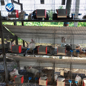 China commerciële konijn boerderij kooi, konijn kooien gebruikt te koop, konijnenhok in kenia boerderij( hoge kwaliteit) - Product Image 3