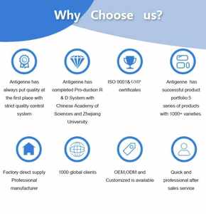 Fpv Fcov fgia स्व रैपिड टेस्ट किट फेलिन बिल्ली परीक्षण पैनलुकोपेनिया गीगार्डिया एंटीजन रैपिड टेस्ट - Product Image 4