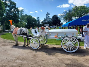 Corbillard tiré par des chevaux de transport spécial/voiture funéraire de décoration de fleurs/corbillard funéraire électrique à basse vitesse à vendre - Product Image 5