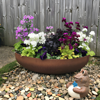Bac à feu minimaliste en acier corten, pot de fleurs, bol à eau, décoration de jardin intérieur et de patio, résistant à la corrosion