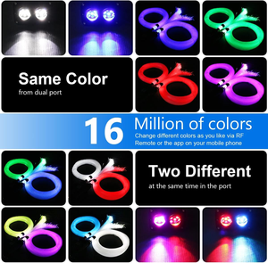 Bộ đèn trần sao lấp lánh hai màu 20W trang trí nội thất ô tô, sợi quang 9.8ft, đèn trần sao hai cổng - Product Image 5