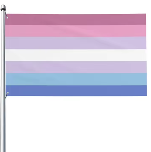 Bandera del Orgullo Lésbico de Alta Calidad con Diseño de Arcoíris, Impresión Digital para Eventos Deportivos Patrióticos y Desfiles - Product Image 1