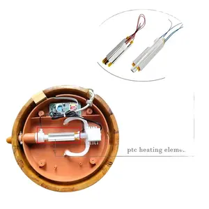 Elemen Pemanas Air Induksi Magnetik Kustom 12V 24V 48V Resistor Pemanas Ptc Elemen Pemanas Air Keramik