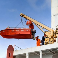 Grue à flèche rigide sur piétement marin pour le transfert de cargaison sur navires offshore et la manutention de charges lourdes sur pont