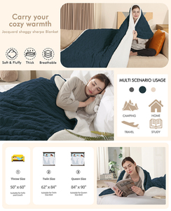 <span class=keywords><strong>Couverture</strong></span> chauffante électrique en velours cristal de vison, taille double, queen, king, personnalisable, <span class=keywords><strong>chaude</strong></span>, pour <span class=keywords><strong>lit</strong></span> - Product Image 2