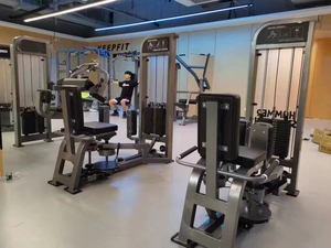 Novità 2024 Attrezzatura Commerciale da Palestra Macchina per Braccio di Ferro in <span class=keywords><strong>Vendita</strong></span> - Product Image 2