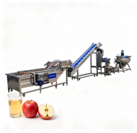 Ligne complète de traitement de jus de pomme en acier inoxydable avec presse à bande et machine de remplissage automatique de bouteilles