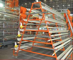 A/h tipi katlanır katman tavuk kafesi 4 Tier tam otomatik 10000 katmanlı tavuk çiftlik kuş kafesi satılık - Product Image 4